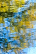 Abstract;Abstraction;Blue;Duck-River;Gold;Henry-Horton;Line;Mirror;Nature;Patter